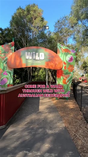 2.6K views · 111 reactions | Step into the wild side of Dreamworld  Explore WILD with Australian Geographic, our biggest and best wildlife precinct yet! @australiangeographic Meet incredible Aussie animals like koalas, crocodiles, cassowaries, and tree kangaroos, and discover how we’re helping to protect them. It’s more than a walk-through, it’s a world worth exploring. | Dreamworld Australia | Facebook