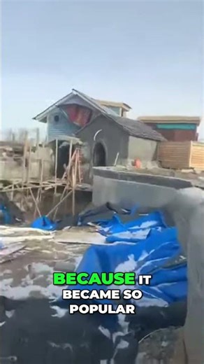 Negative Edge Pool: Hidden Truths & Design Flaws! #shorts