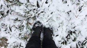 17 reactions | Sterling College on Reels | Facebook