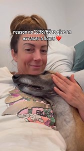 The love we have received from our adopted greyhound is something so special. Greyhounds have the most beautiful nature that people just don’t realise until they actually spend time with one. Poppy has brought so many positive things to our lives. Best decision we ever made adopting her. 🥰 #greyhound #greyhoundlove #doggylove #greyhoundadoption #bestbreed #bestdogsever | Misspoppy.thegrey