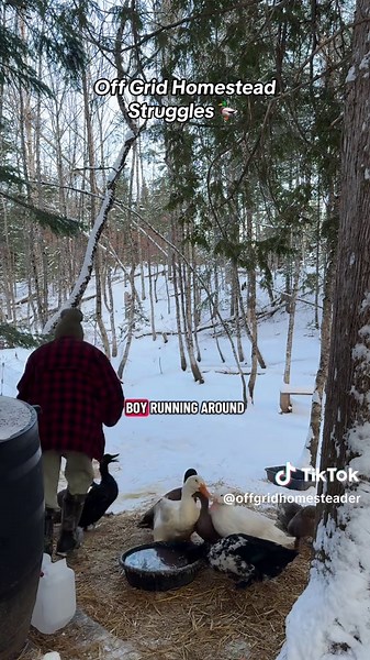 Lay it on me, tell me there’s an answer 🫣🙃😂🤣 #offgrid #offgridhomestead #homestead #offgridliving #duck