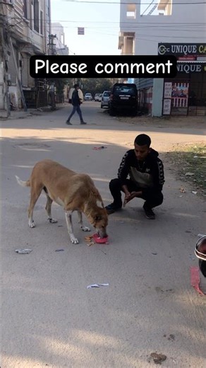 please comment for Sourav Joshi #dogs #help #dog #souravjoshivlogs #comment #videoviral
