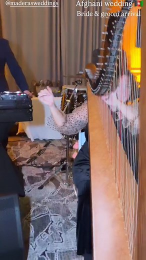 Beautiful Afghani wedding 🎶 🎵 Solo Harp music for guests arrival and a traditional song for the Bride & Groom grand entrance (where I got to jam with the other musicians & DJ ) #weddingharpist #harp #adayinthelifeofaharpist #iamwiththeband #Harpist #weddings #afghaniwedding #beautifulwedding #practicalharpist #beautifulweddingdress #playingharp #harpistforevents #weddingband | Chiara Capobianco International Harpist