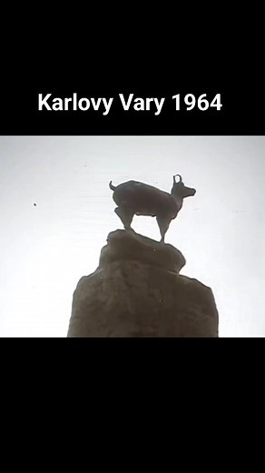 Roman Hejda on Reels