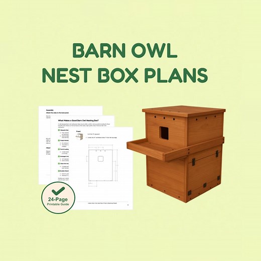Indoor Barn Owl Nesting Box II Plans & Sketchup Model - Etsy