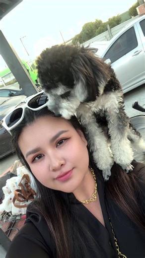 Loading Container Process in Taiwan