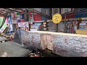 sawing a spruce log that nuts 319 saved # 599