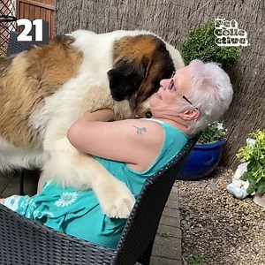 221K views · 1.4K reactions | Watch out for this dog's foot  | Try Not to Laugh | Facebook