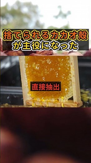 An environmentally friendly and incredibly delicious new invention! Chocolate honey made with ult...