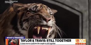 What’s Trending with Ivani Bing