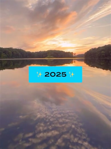 Pure Michigan was pure memories in 2025.