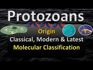 PROTOZOA LATEST CLASSIFICATION | ORIGIN & HISTORY