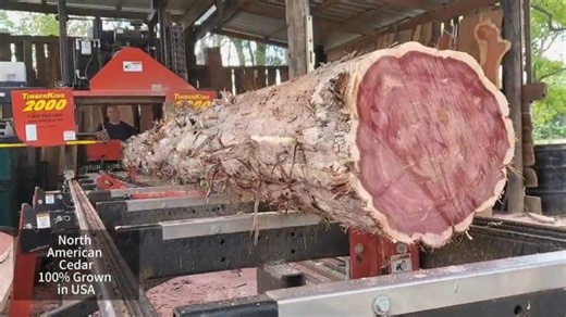 Watch Cedar Space Wooden Shoe Stretcher Tree on Amazon Live