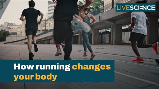 How running changes your body