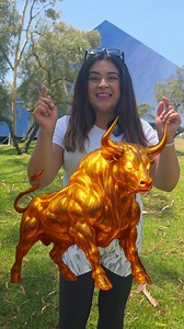 8.1M views · 470K reactions | De que color ves el Toro | Bri go-go | Facebook