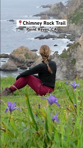 One of the PRETTIEST Trails in Point Reyes National Seashore 🌸💕🌊