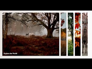 Responsive Image Gallery | Flexbox and JavaScript