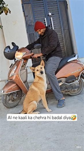 bina bole reel viral😵‍💫 #shortsfeed #dogshorts #funny #germanshepheard #doggielife #comedy