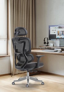 [Hot Item] Modern Luxury Ergonomic Office Chair with Mesh Backrest Computer Chair
