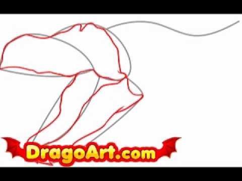 How to draw a dragon skull, step by step