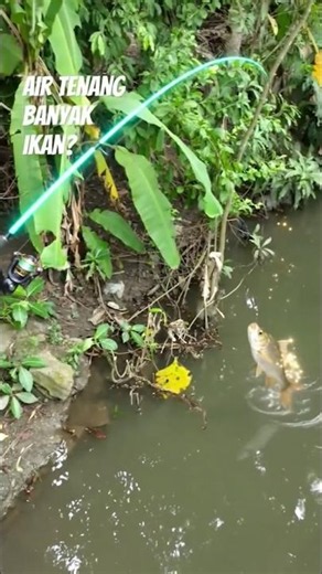 Spot mancing yang mantap