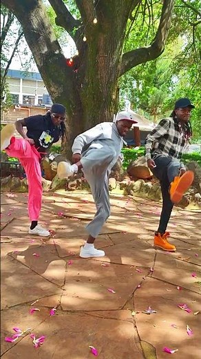 innos B ft willy Paul - bingiri official music video