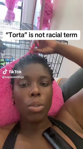 Understanding the Term 'Torta' and Its Context