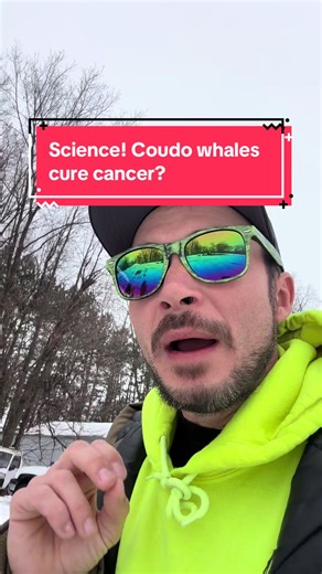 Science! A whale of a discovery could help cure cancer! #science #animals #cancer #whale #medicine