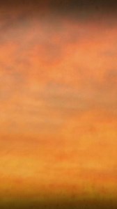 The Manhattan Project || #Atom #menhattanproject #project #science #1millionviews #theory #Oppenheimer | Live Music