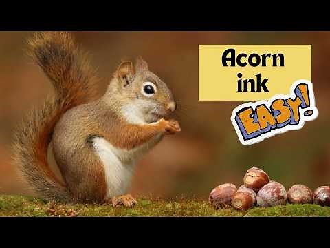 How to make ink using acorns