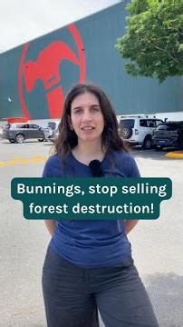 Bunnings, stop selling forest destruction!