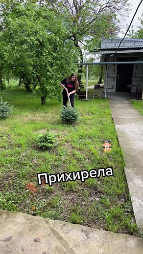 Gardening Tips: Digging Up a Shrub Step by Step