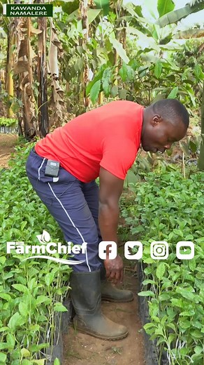 Transforming Farming with Innovative Office Solutions