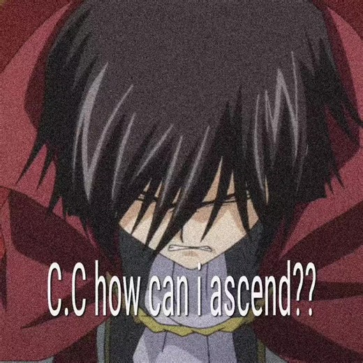 Concluding Thoughts on Lelouch Lamperouge's Legacy