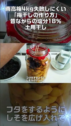 ①南高梅4kg【失敗しにくい梅干しの作り方】昔ながらの塩分18％！土用干し！ #Shorts #梅干し #南高梅 #赤しそ #塩分18％ #土用干し #昔ながらの梅干し #リッ欣ちゃんねる