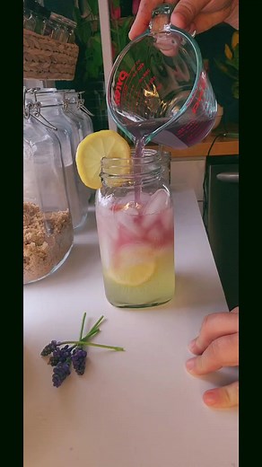 Make some Grape Hyacinth and Lavender Lemonade with me. These little flowers are some of the first to pop up! 😍 #appalachia #funwithflowers