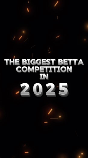 Join the Biggest Betta Fish Competition of 2025