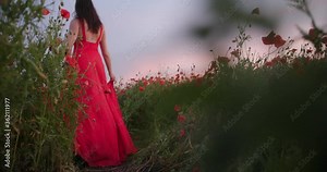 Rear view of brunette woman walking in a red dress in poppy field. Harmony, love, nature concept.