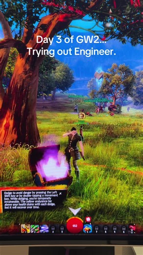 Whats the best class for solo playing and money-making? @Guild Wars 2 #gw2 #guildwars2 #길드워2