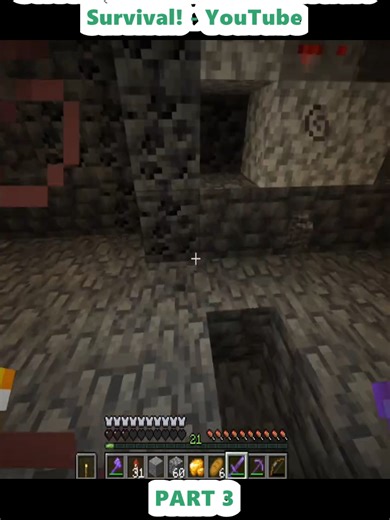 Minecraft Survival: 24 Hours on a Server