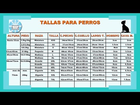 TABLA DE MEDIDAS pdf PARA PERROS DE TODAS LAS RAZAS (Escalando los patrones basicos) #vivicreativa