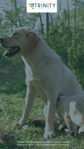 Trinity Insurance Brokers on TikTok