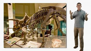 Dinosaur Train - Dinosaur Discoveries: Fossils Video | PBS KIDS