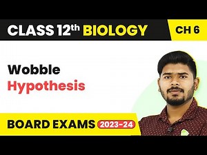 Class 12 Biology Chapter 6 | Wobble Hypothesis - Molecular Basis of Inheritance (2022-23)