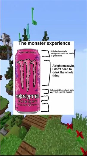 Moster Experience2
