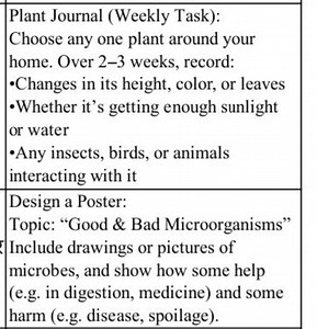 Weekly Plant Journal TaskChoose any one plant around your hom... | Filo