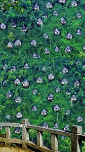 489K views · 10K reactions | With free-standing wooden villas scattered throughout dense forests, and an unobstructed view of Yalong Bay, the Bird Nest Resort is considered one of the best places to stay for holidaymakers in Sanya, #Hainan Province. #FunChina | China Plus Culture | Facebook
