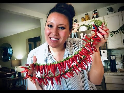 How to Harvest, Dry, and Store Thai Peppers