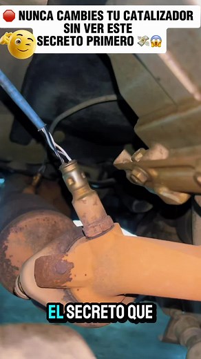 Limpiar catalizador y apagar Check Engine fácil