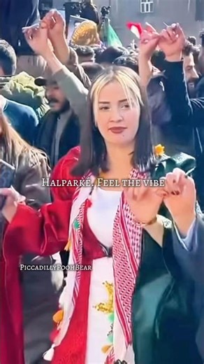 Did you know that Halparké is also the name of the #kurdishdance ?
